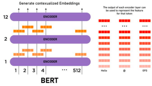 bert
