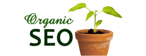 Organic SEO